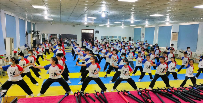 扶沟县陈炳体育文化发展有限公司