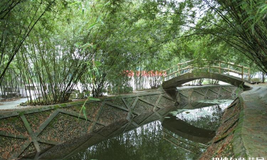 重庆立事信息工程幼师学校