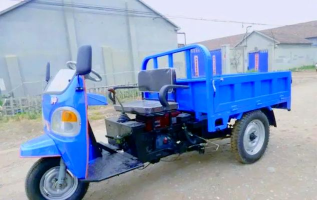 镇安县永乐镇桑树坪一组初小