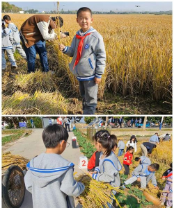 长道镇丰收小学