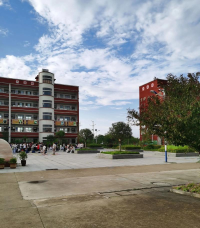 望江县杨湾镇丰大中学