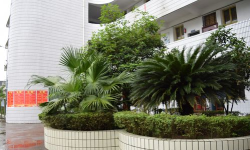 金堂县广兴镇初级中学