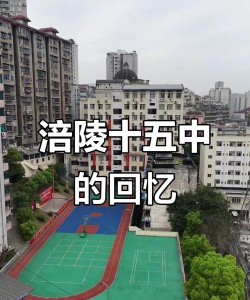 重庆市涪陵第十五中学