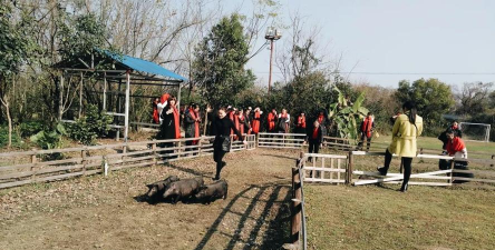 桂林市灵川梧桐墅幼儿园