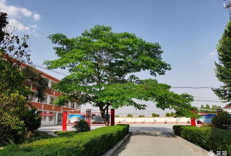 太康县符草楼镇第一初级中学