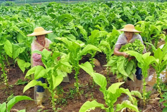 乐昌市长来镇灵口村幼儿园