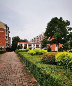 兴隆林业局兴隆小学