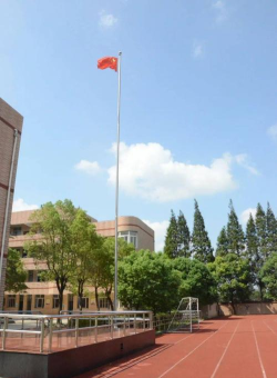 宝山区泰和新城小学