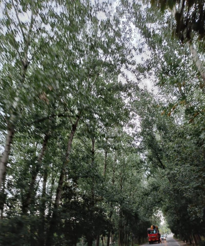 洛阳市西工区洛北乡西下池幼儿园