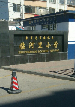 临河里小学