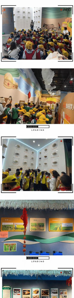 太原市尖草坪区柴村街道办事处芮城中心校