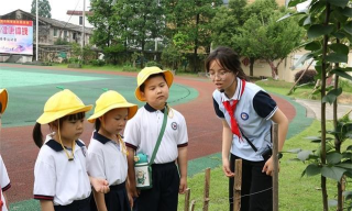 平阳县麻步镇中心幼儿园