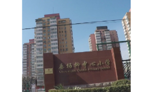 北京市朝阳区垂杨柳中心小学（杨柳校区高部）