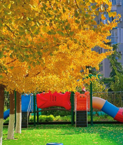 大连府佳名都红叶幼儿园