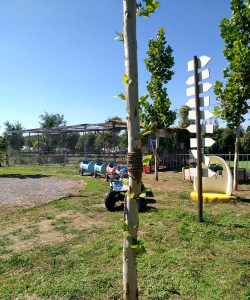 丰南市柳树0镇柳树0幼儿园