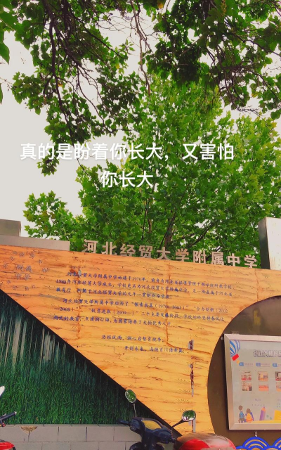 河北经贸大学附属中学