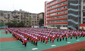 成都树德实验中学东区