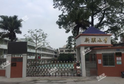 大石镇新联小学