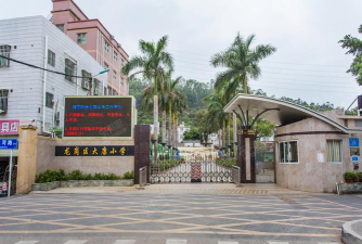 深圳大康小学