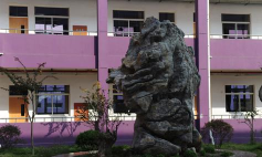 上海斌心学校(九年一贯制)