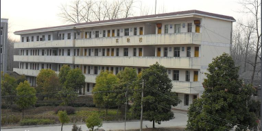 阜阳颍上信息工程学校