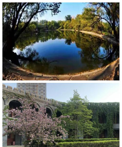 北京潞河国际教育学园