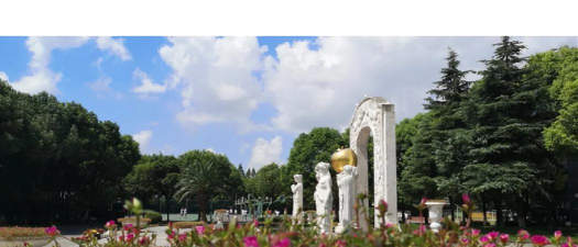 上海市民办金苹果学校