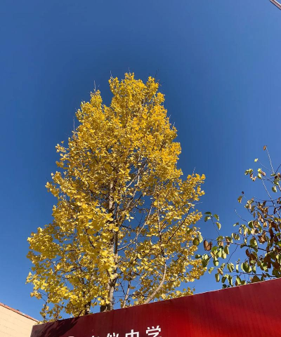 阳曲县侯村乡初级中学校