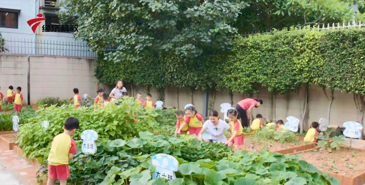 东莞市南城创思东骏幼儿园