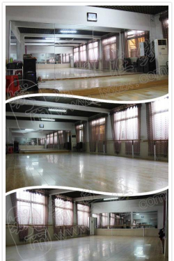 萧县田艳拉丁舞培训学校有限公司