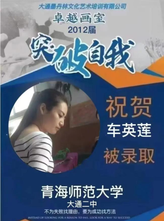 大通墨丹林文化艺术培训有限公司