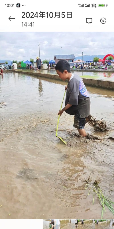 通海县河西镇螺峰培训学校有限公司