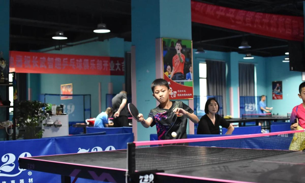 长武县乒搏体育培训学校有限公司