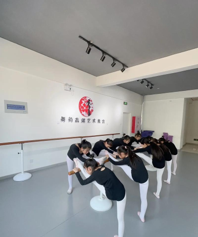 石嘴山市大武口区舞之舞教育培训有限公司