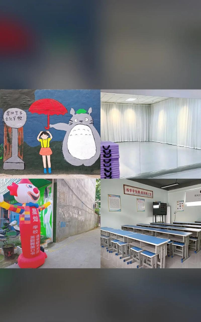 临沂市兰山区星灿艺术培训学校有限公司