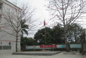 大亚湾区澳头黄鱼涌小学