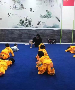 峡江县阿凯武术培训有限公司