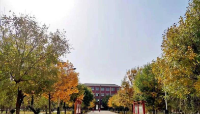 大屯镇初级中学