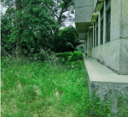 高州市东岸镇才口小学