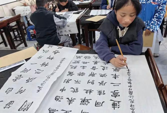 兰坪领秀书画培训学校有限公司