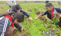 四川省自贡市第二十六中学校
