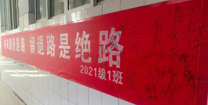 上海市杨浦-凤城高级中学