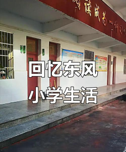 东风小学