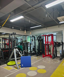 兴化市维他体育培训有限公司