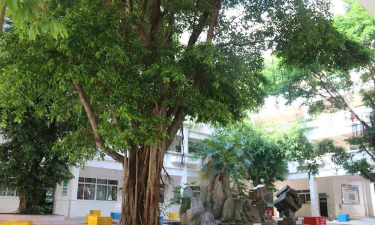 惠州市麦地小学