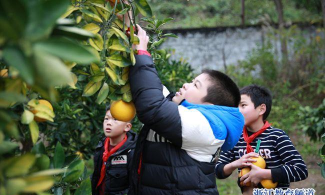 平阳县昆阳镇第六小学
