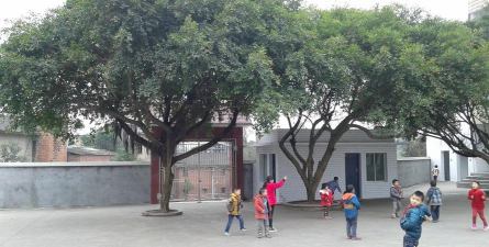 仁寿县新店乡石盘初级中学校