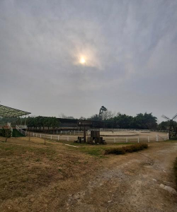 抚州高新区山石艺术培训有限公司