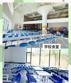 泸州市龙马潭区乐美艺术培训学校有限公司