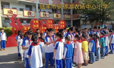 陆丰市铜锣湖农场麻竹坑小学